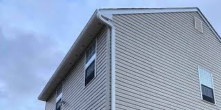 Best Custom Trim and Detailing for Siding  in Heritage Pines, FL